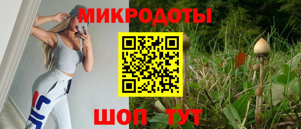 Пенза  Псилоцибиновые грибы GOLDEN TEACHER  Вход с VPN 
